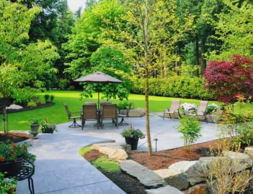 Pourquoi réaliser une étude de jardin avant de créer son espace extérieur ?